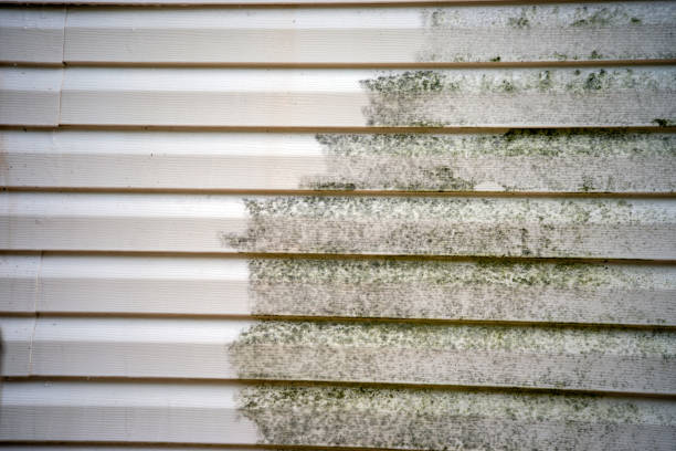 Storm Damage Siding Repair in Harlowton, MT