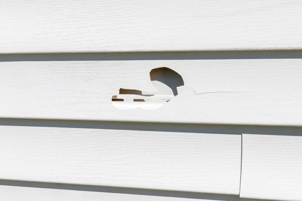 Best Vinyl Siding Installation  in Harlowton, MT