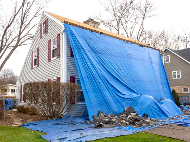 Best Stone Veneer Siding  in Harlowton, MT